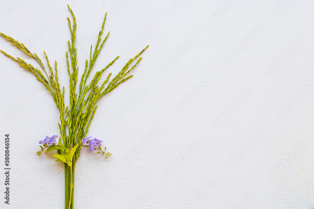 background texture nature spike rice with purple flowers arrangement flat lay postcard style on whtie wooden