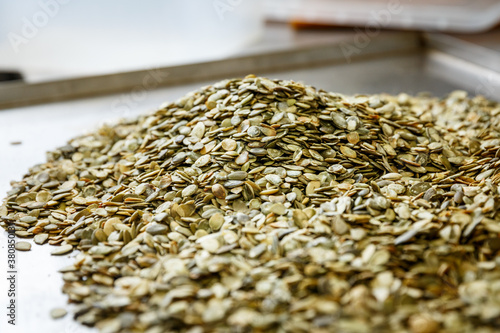 Pumking seeds ready for drying. photo