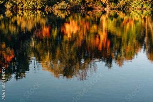 pond with reflections of trees with autumn leaves photo