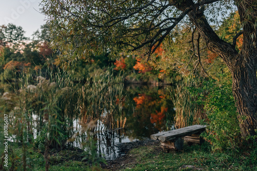 bench by a pond on an autumn evening photo