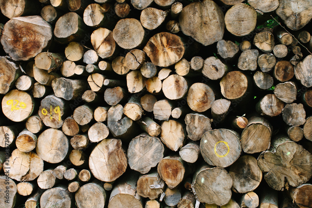 Stack of cut logs Stack of cut logs