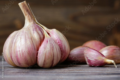 Fresh homemade garlic on a dark wooden background. Copy space for text or description.