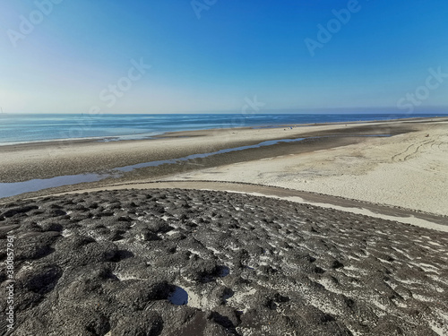 Enjoy the beautiful nature in the Netherlands, Zeeland, Renesse