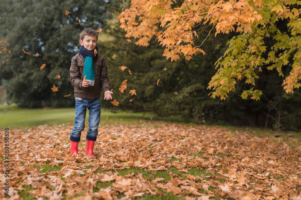 Happy boy throwing leaves in the air in front of trees of autumn colors Happy boy throwing leaves in the air in front of trees of autumn colors