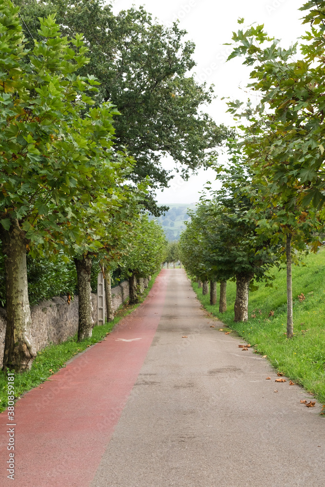 Rural and pedestrian road flanked by trees in autumn Rural and pedestrian road flanked by trees in autumn