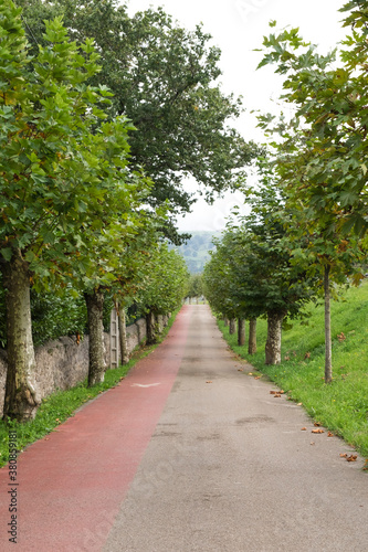 Rural and pedestrian road flanked by trees in autumn photo