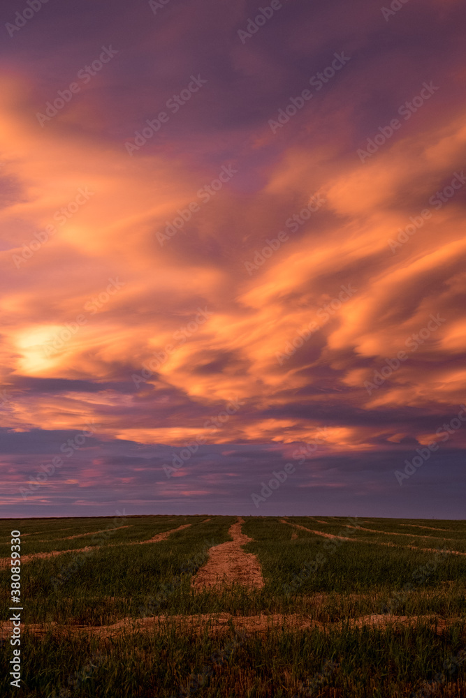 Impressive clouds at sunset over a cultivated farm field Impressive clouds at sunset over a cultivated farm field