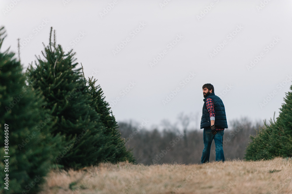 Tree Farm Tree Farm