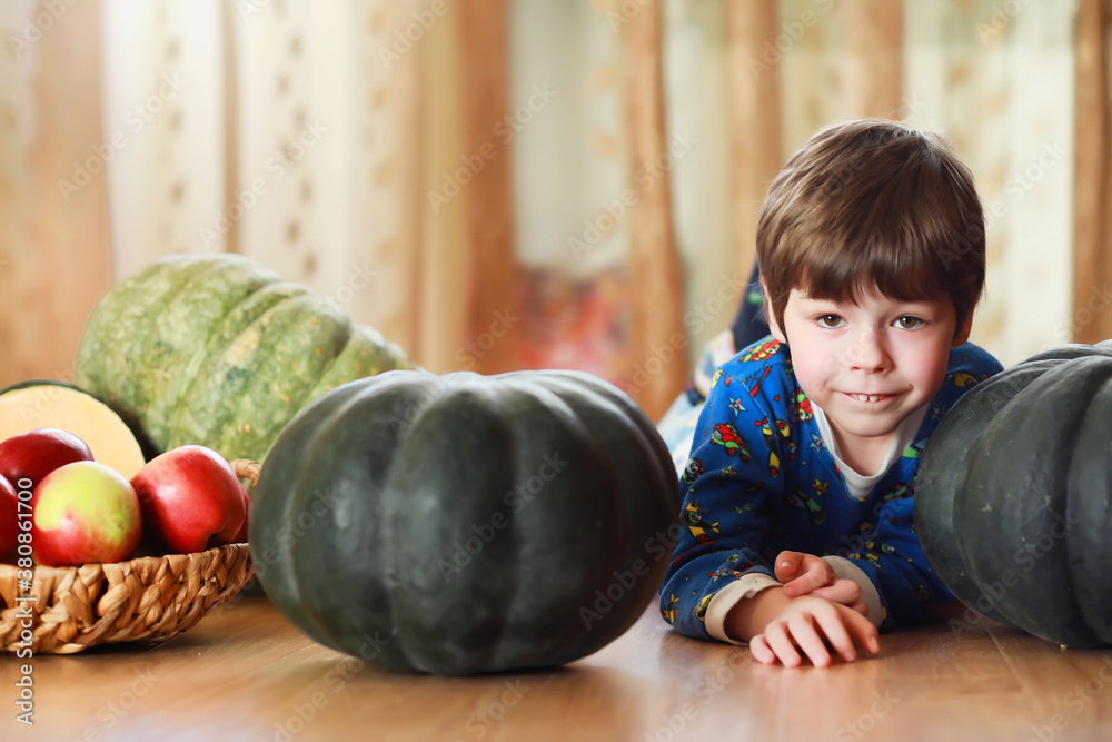 Fototapeta premium Little child choose a pumpkin at autumn. Child sitting on giant pumpkin. Pumpkin is traditional vegetable used on American holidays - Halloween and Thanksgiving Day.