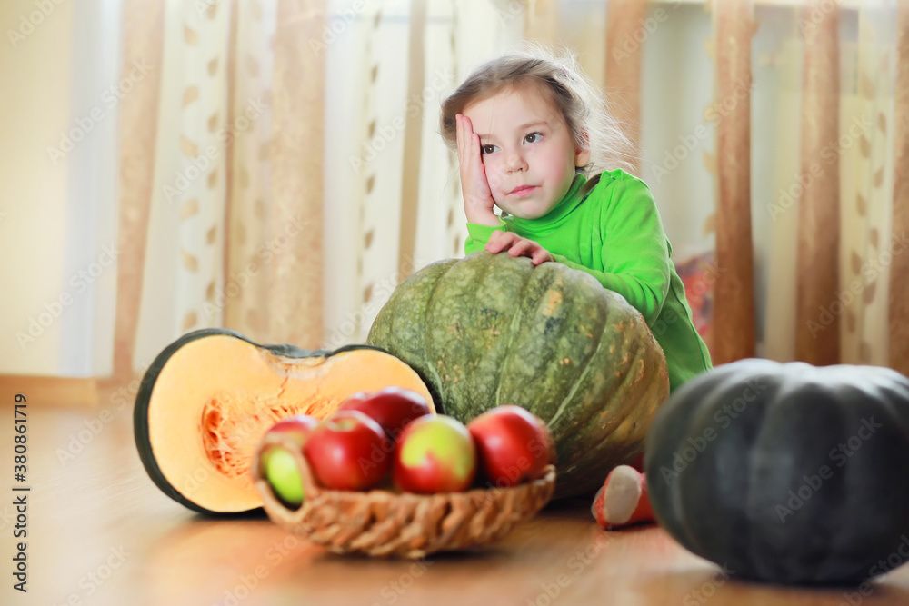 Fototapeta premium Little child choose a pumpkin at autumn. Child sitting on giant pumpkin. Pumpkin is traditional vegetable used on American holidays - Halloween and Thanksgiving Day.
