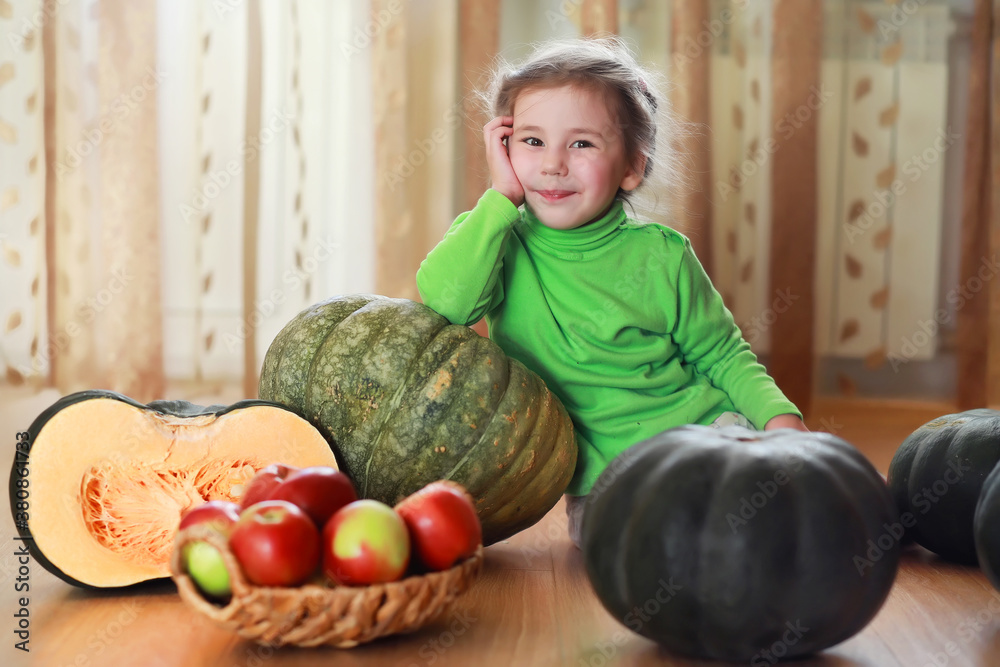 Fototapeta premium Little child choose a pumpkin at autumn. Child sitting on giant pumpkin. Pumpkin is traditional vegetable used on American holidays - Halloween and Thanksgiving Day.