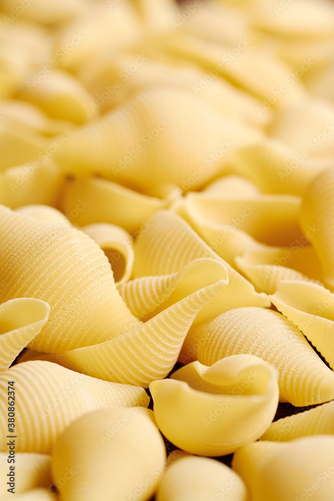 Giant pasta shells (Conchiglie)