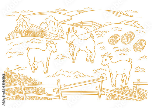 Goatling, yeanling farm is livestock. Three lambs in the barnyard. Hay fodder. Village rural countryside landscape. Rustic fence. Hand drawn cartoon sketch. Contour vector line.