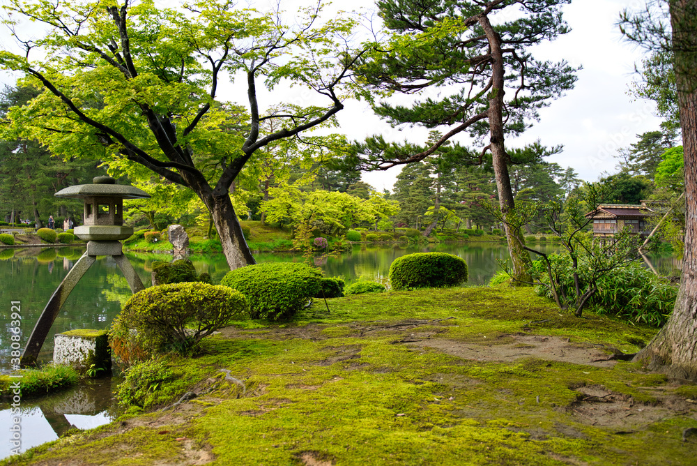 日本庭園と湖