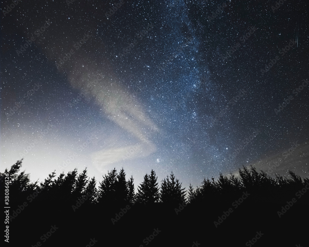Starry Sky With Swirling Clouds Over Trees Starry Sky With Swirling Clouds Over Trees