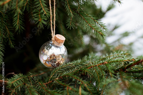 Glass ball on christmas tree photo