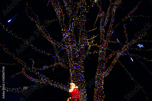 Christmas lights and Santa Claus on a tree. photo