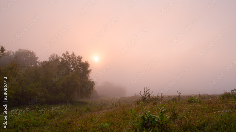 Misty hollow Misty hollow