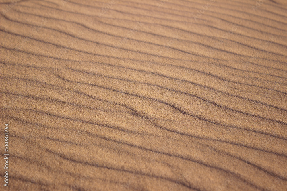 The largest desert in Europe, Ukraine - Oleshky Sands (Oleshkivsʹki pisky). Waves in the sand, beautiful ripples of sand, background The largest desert in Europe, Ukraine - Oleshky Sands (Oleshkivsʹki pisky). Waves in the sand, beautiful ripples of sand, background