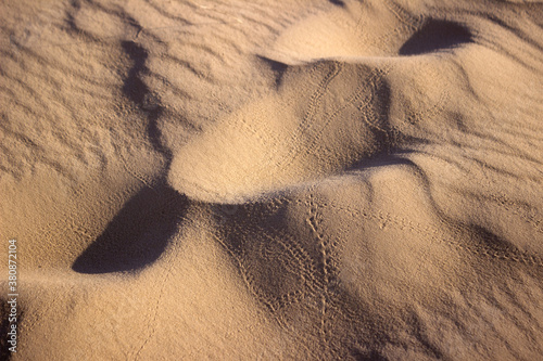 The largest desert in Europe, Ukraine - Oleshky Sands (Oleshkivsʹki pisky). Animal footprints in the yellow sand, background photo