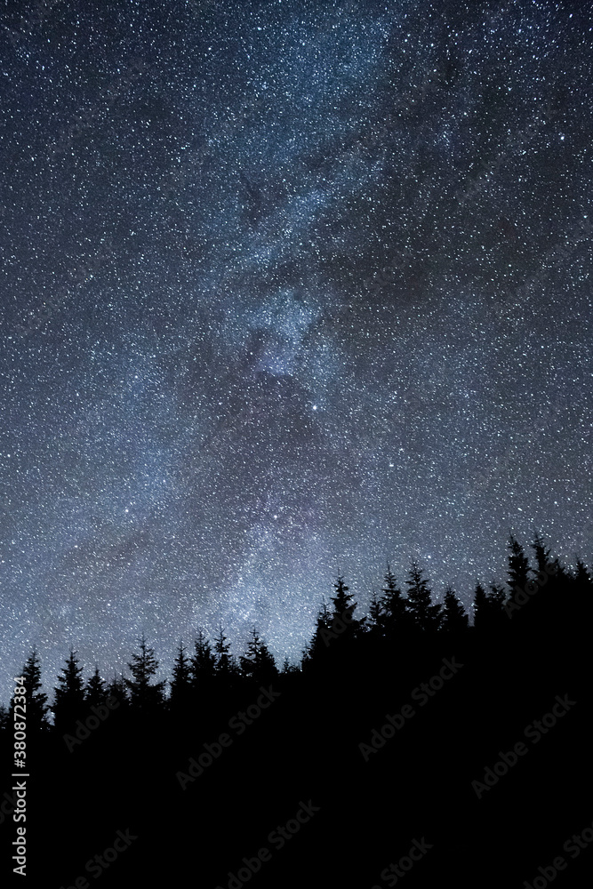 Starry Sky Above Silhouette Forest Starry Sky Above Silhouette Forest