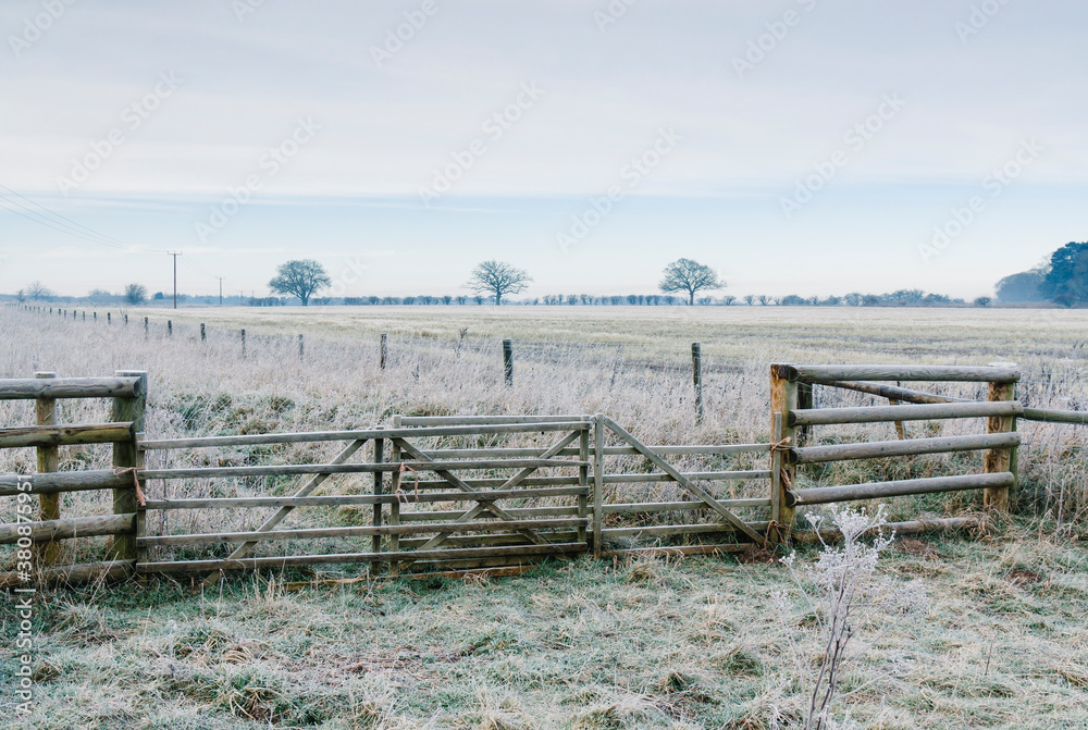 Rural field and gate covered in frost. Norfolk, UK. Rural field and gate covered in frost. Norfolk, UK.