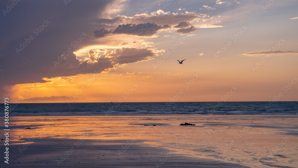Sunset at the Beach with flying birds in Broome Australia
