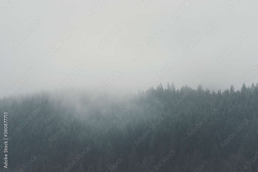 Misty Morning Mountains