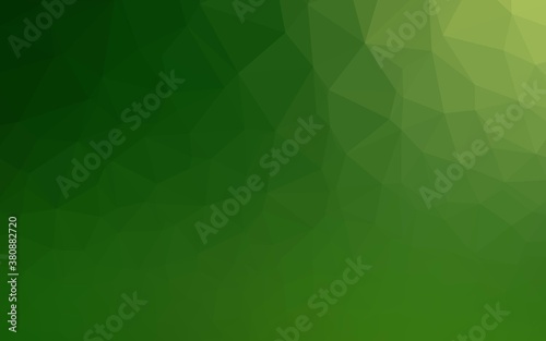 Light Green vector blurry triangle template. Geometric illustration in Origami style with gradient. Completely new design for your business.