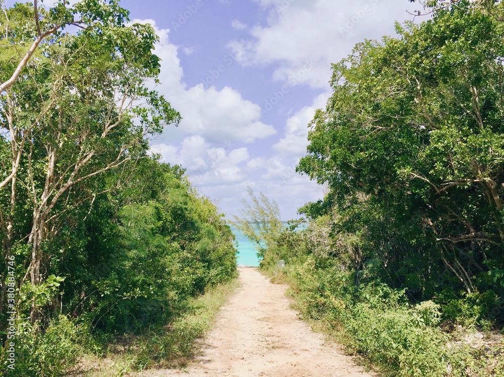 Pathway leaning to turquoise ocean 