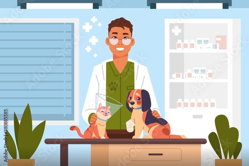Vet examine. Cartoon veterinary doctor in clinic heals cute cats and dogs, hospital for domestic animals, consulting office interior, vector scene with puppy and kitten healthcare flat illustration