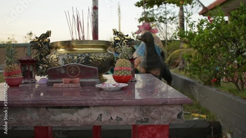 buddhist incense altar table at vihara satya dharma benoa denpasar bali indonesia photo