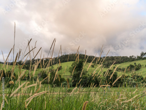 Pasasaje de naturaleza al atardecer