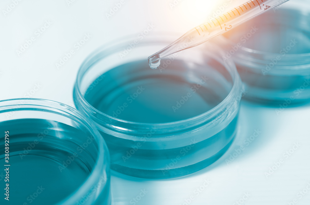Science and medicine concept.Pipette dropping a sample into a glassware and science experiments.Laboratory glassware containing chemical liquid, Science and medicine concept.Pipette dropping a sample into a glassware and science experiments.Laboratory glassware containing chemical liquid,