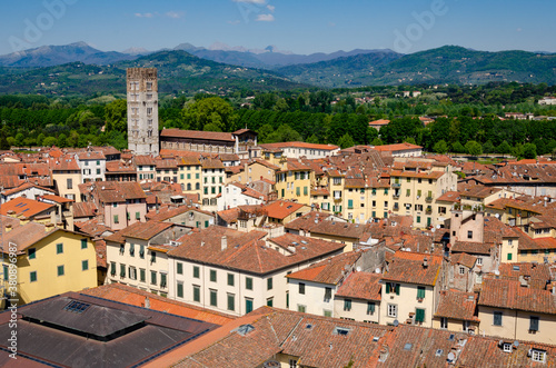 View of old city Lucca from the Torre Guinigi - Lucca, Tuscany, Italy