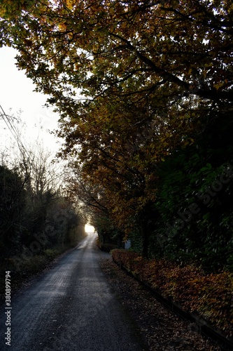 Foggy Fresh Morning at Irish Countryside Landscape