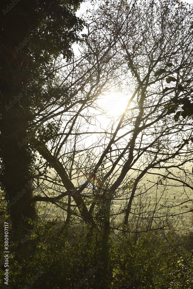 Beautiful Sunrise in Irish Countryside Beautiful Sunrise in Irish Countryside