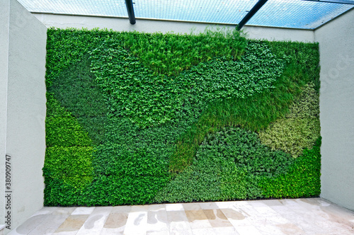 Vertical Herb Wall making an attrctive and unique Enterance photo