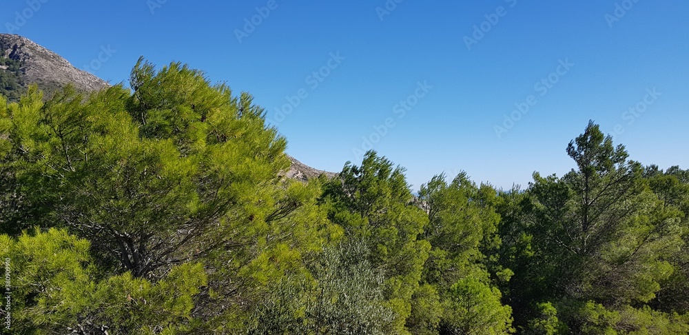sky, landscape, nature, mountain, tree, forest, blue, green, trees, clouds, summer, grass, mountains, hill, park, woods, autumn, day, cloud, beautiful, view, wood, environment, travel, panorama sky, landscape, nature, mountain, tree, forest, blue, green, trees, clouds, summer, grass, mountains, hill, park, woods, autumn, day, cloud, beautiful, view, wood, environment, travel, panorama