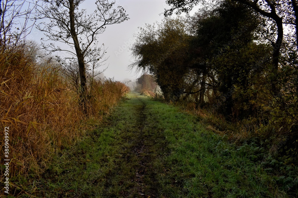 Fresh Morning Irish Countryside Fresh Morning Irish Countryside