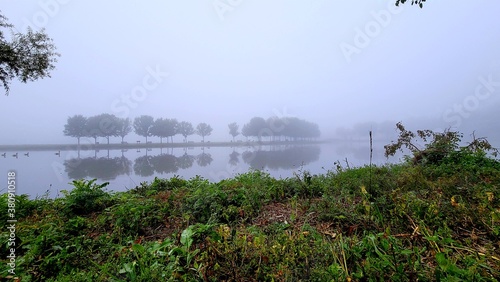 morning on the lake