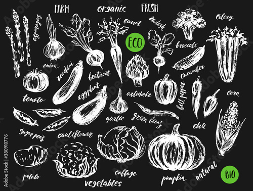 Ink sketch of vegetables with hand lettering names.