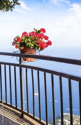 Flower pot on the viewpoint to the Amalfi coast, Italy photo