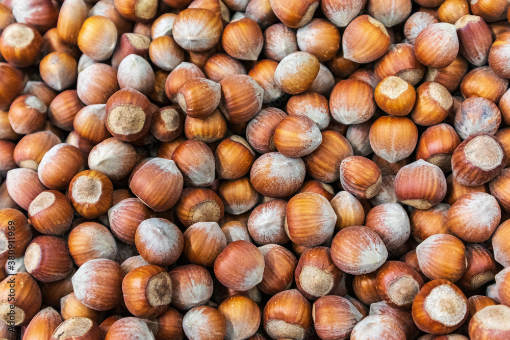 a lot of hazelnuts in shell closeup background a lot of hazelnuts in shell closeup background