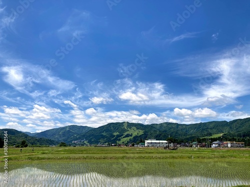 Reflection of mountains in the rice fields