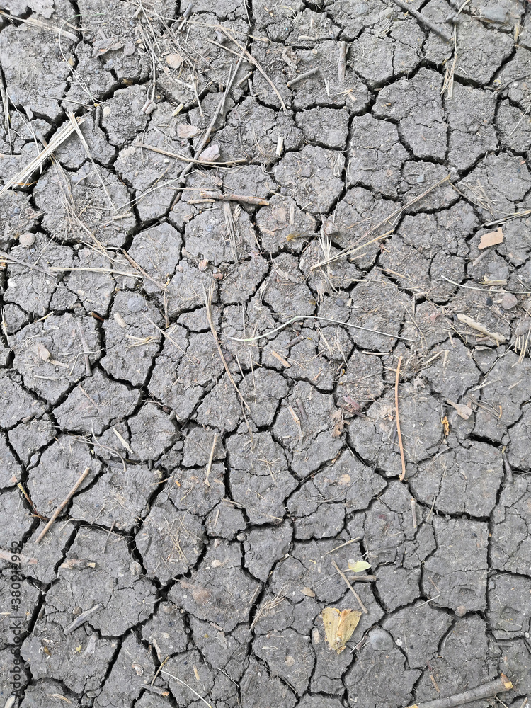 detail of a cracked earth, natural background top view detail of a cracked earth, natural background top view