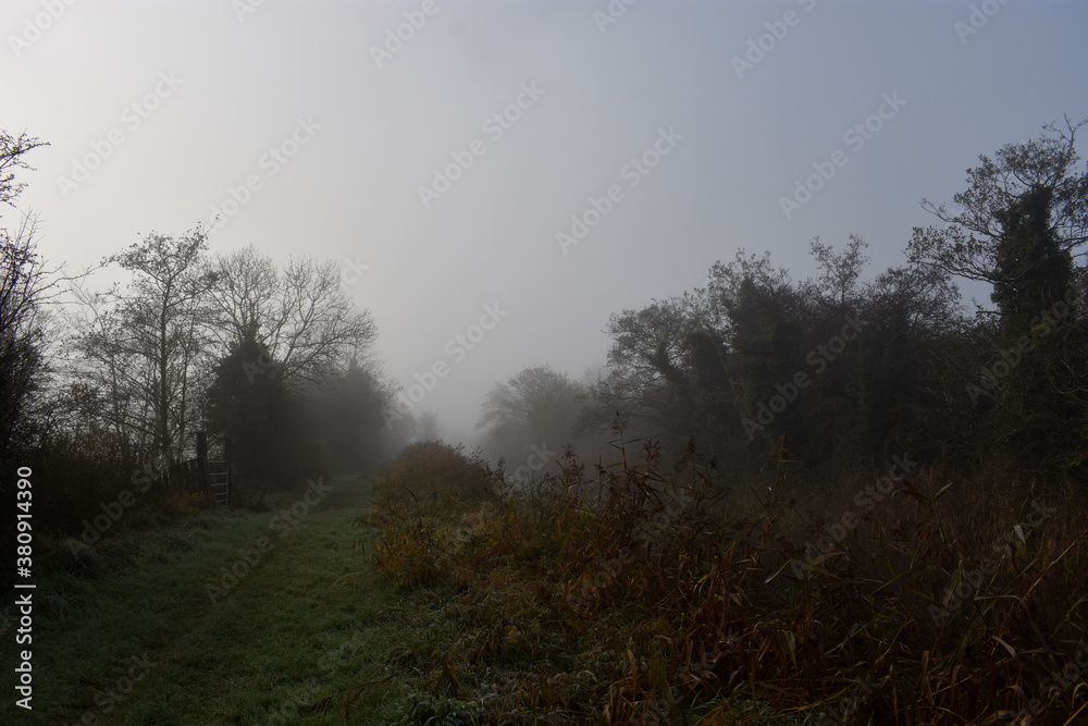Foggy Irish Countryside Foggy Irish Countryside