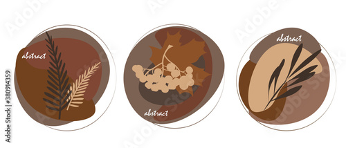 
abstract leaves on white background