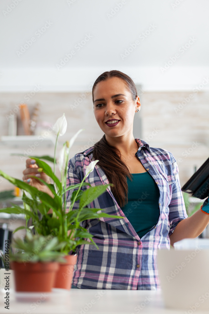 Woman checking flowers in home kitchen and using tablet pc. Decorative, plants, growing, lifestyle, design, botanica, dirt, domestic, growh, leaf, hobby, seeding, care, happy, green, natural, Woman checking flowers in home kitchen and using tablet pc. Decorative, plants, growing, lifestyle, design, botanica, dirt, domestic, growh, leaf, hobby, seeding, care, happy, green, natural,