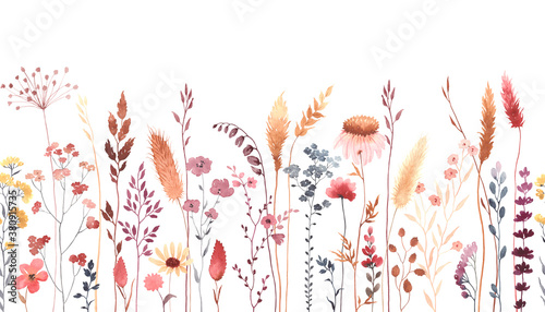 Watercolor floral seamless pattern with colorful wildflowers, plants and grass. Panoramic horizontal border, isolated illustration. Meadow in vintage style.